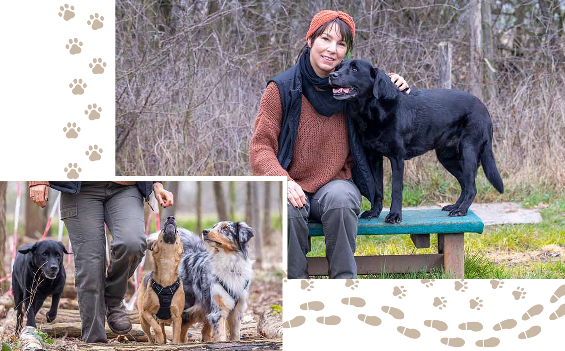 Hundetraining mit Doglifebalance